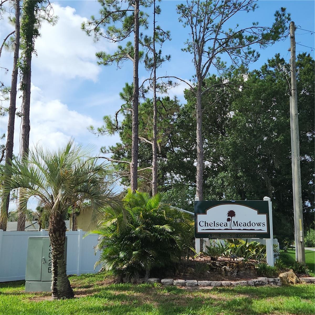 22630 GAGE LOOP #4, LAND O LAKES, FL, 34639