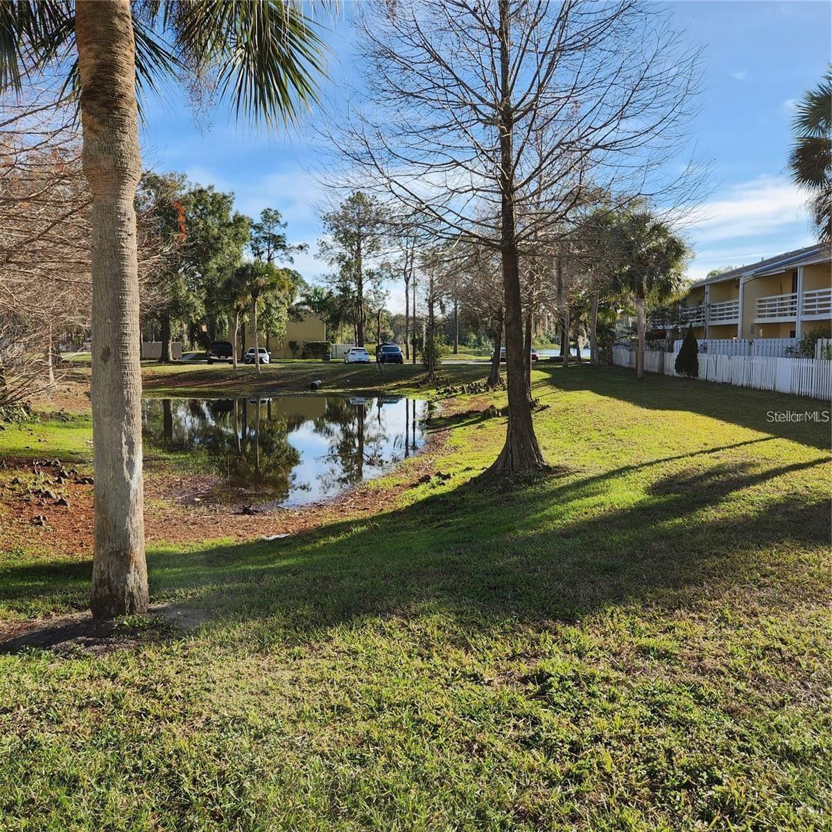 22630 GAGE LOOP #4, LAND O LAKES, FL, 34639