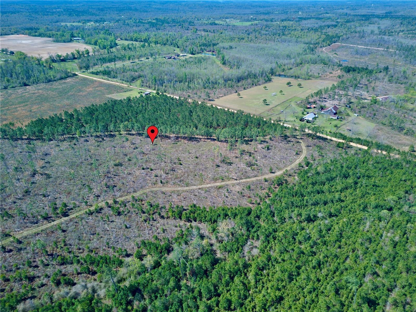 MUTUAL RD, COTTONDALE, FL, 32431