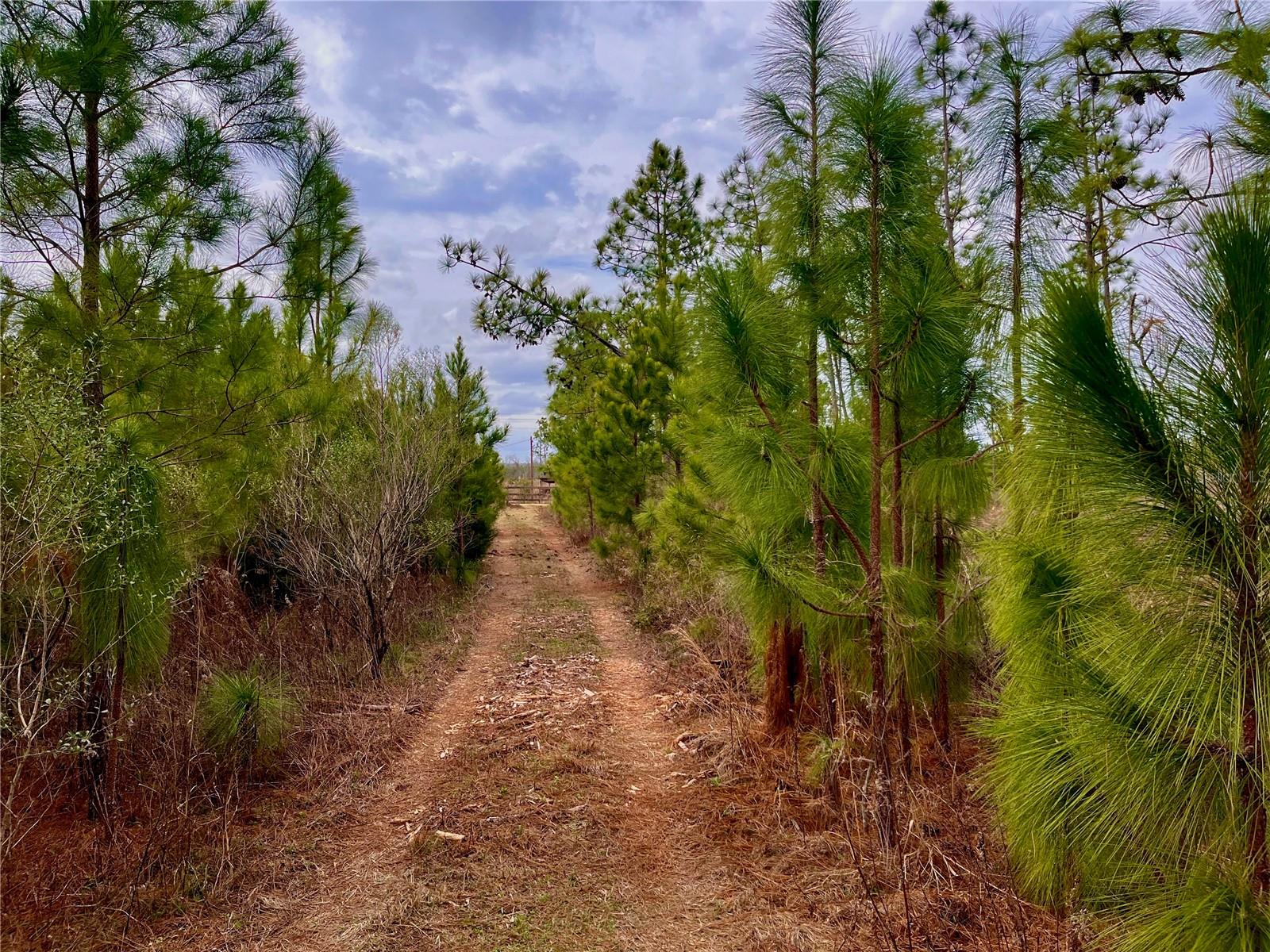 MUTUAL RD, COTTONDALE, FL, 32431
