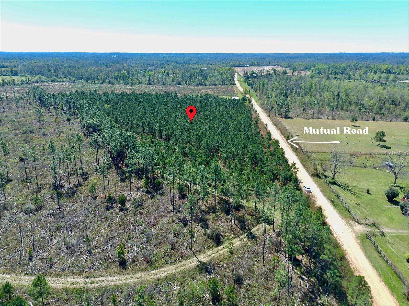 MUTUAL RD, COTTONDALE, FL, 32431