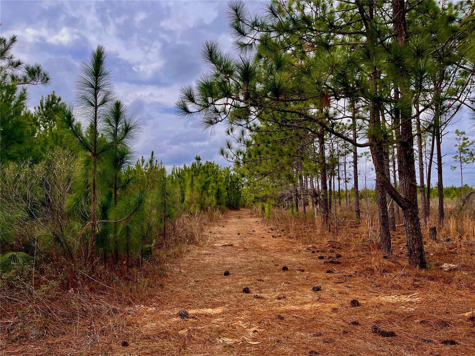 MUTUAL RD, COTTONDALE, FL, 32431