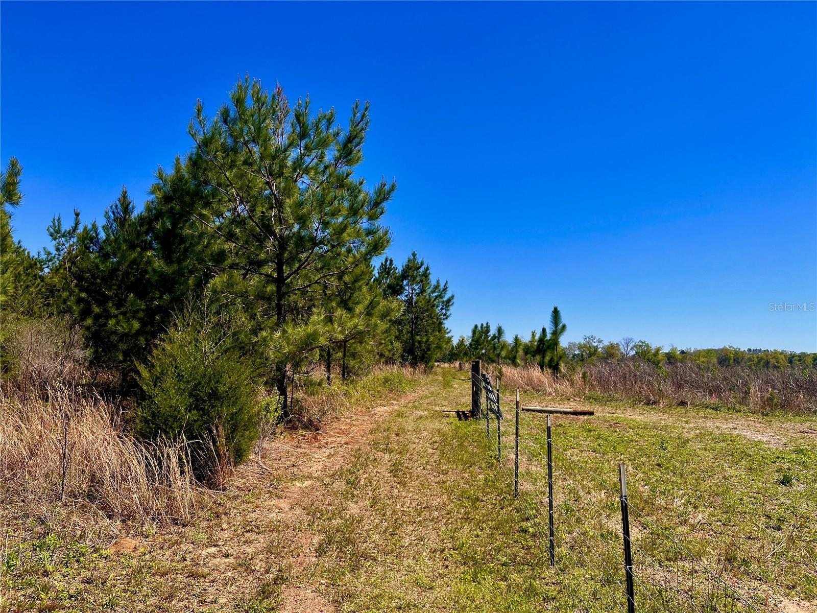 MUTUAL RD, COTTONDALE, FL, 32431