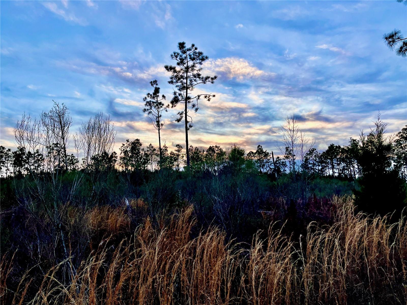 MUTUAL RD, COTTONDALE, FL, 32431