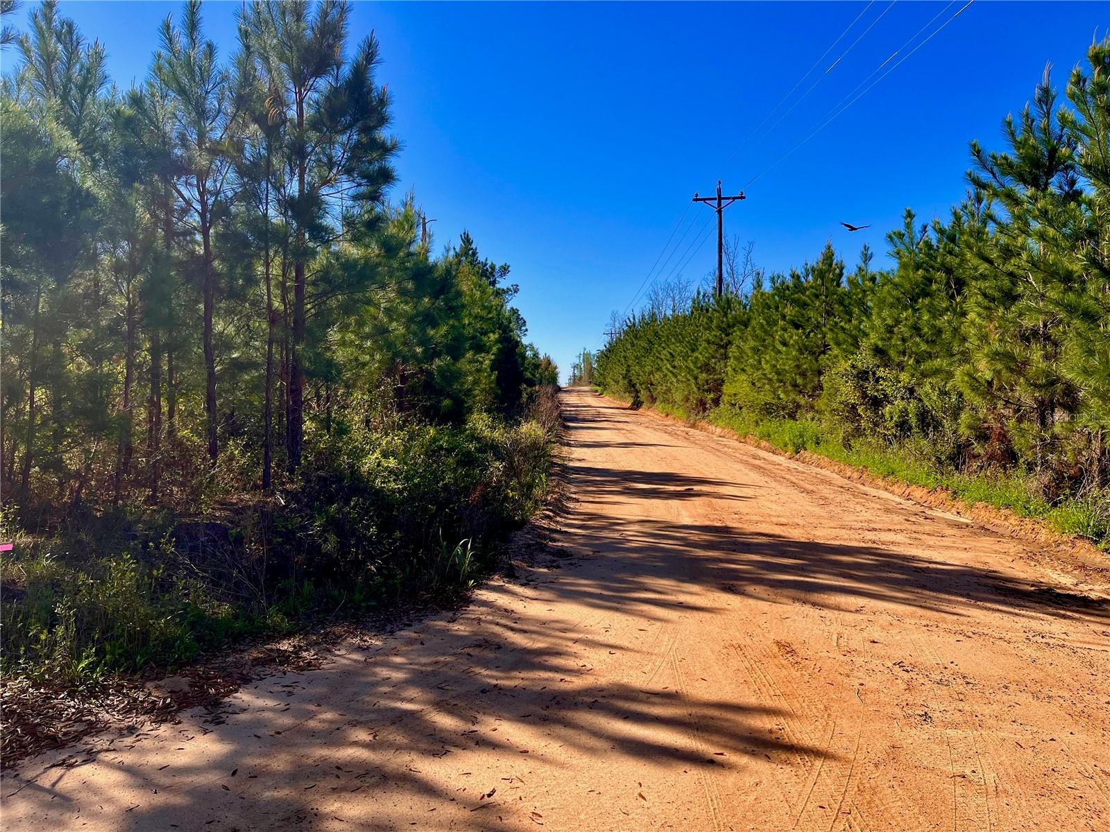 MUTUAL RD, COTTONDALE, FL, 32431