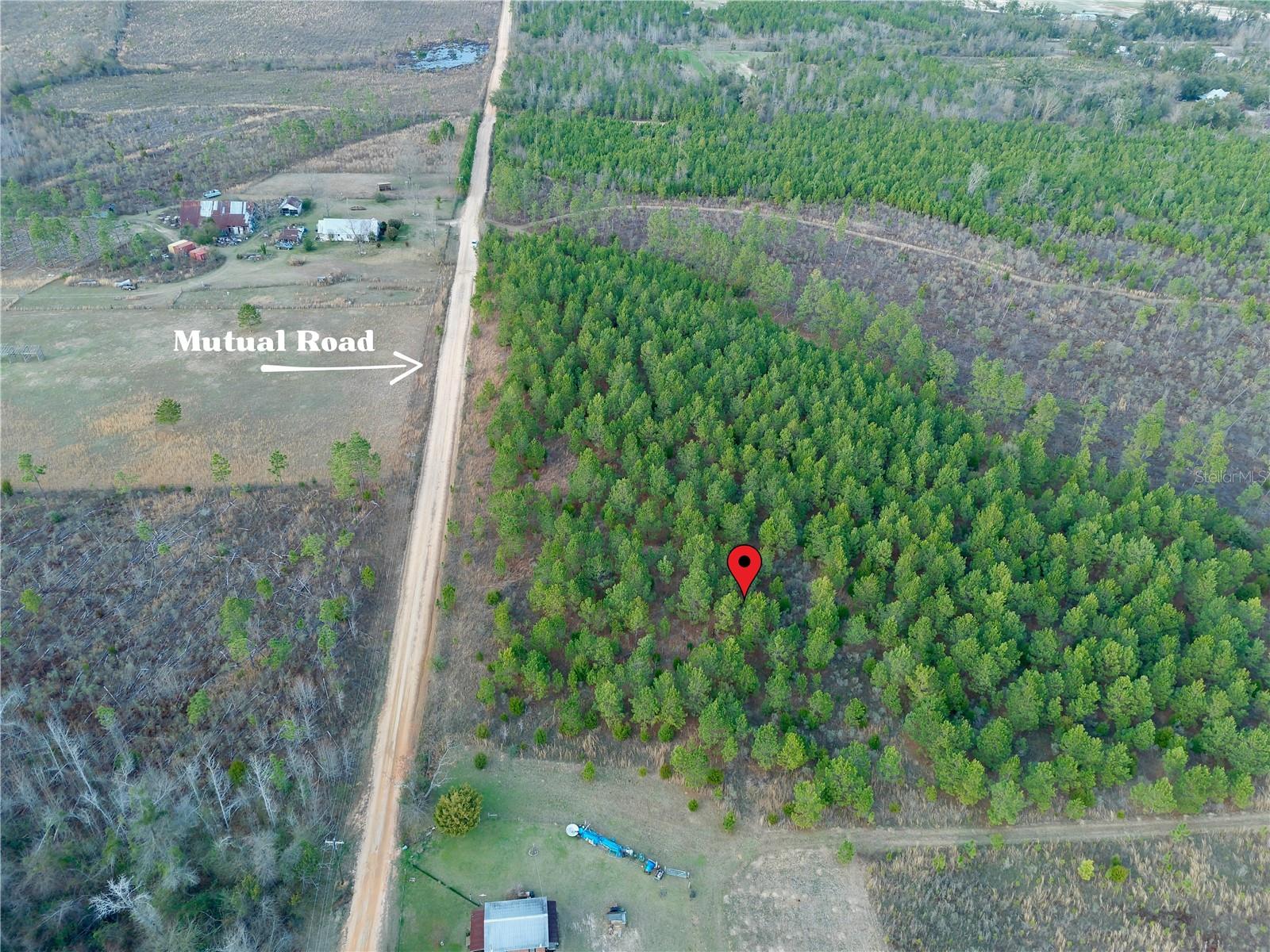 MUTUAL RD, COTTONDALE, FL, 32431