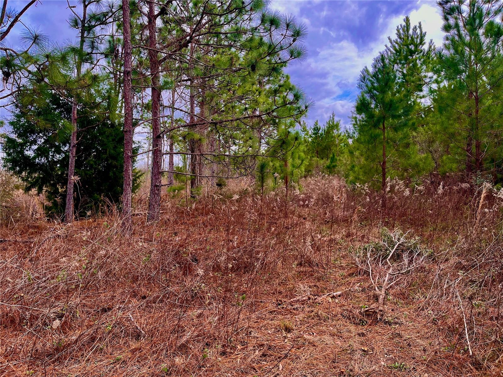 MUTUAL RD, COTTONDALE, FL, 32431