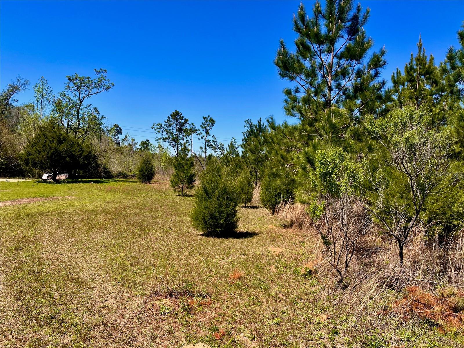 MUTUAL RD, COTTONDALE, FL, 32431