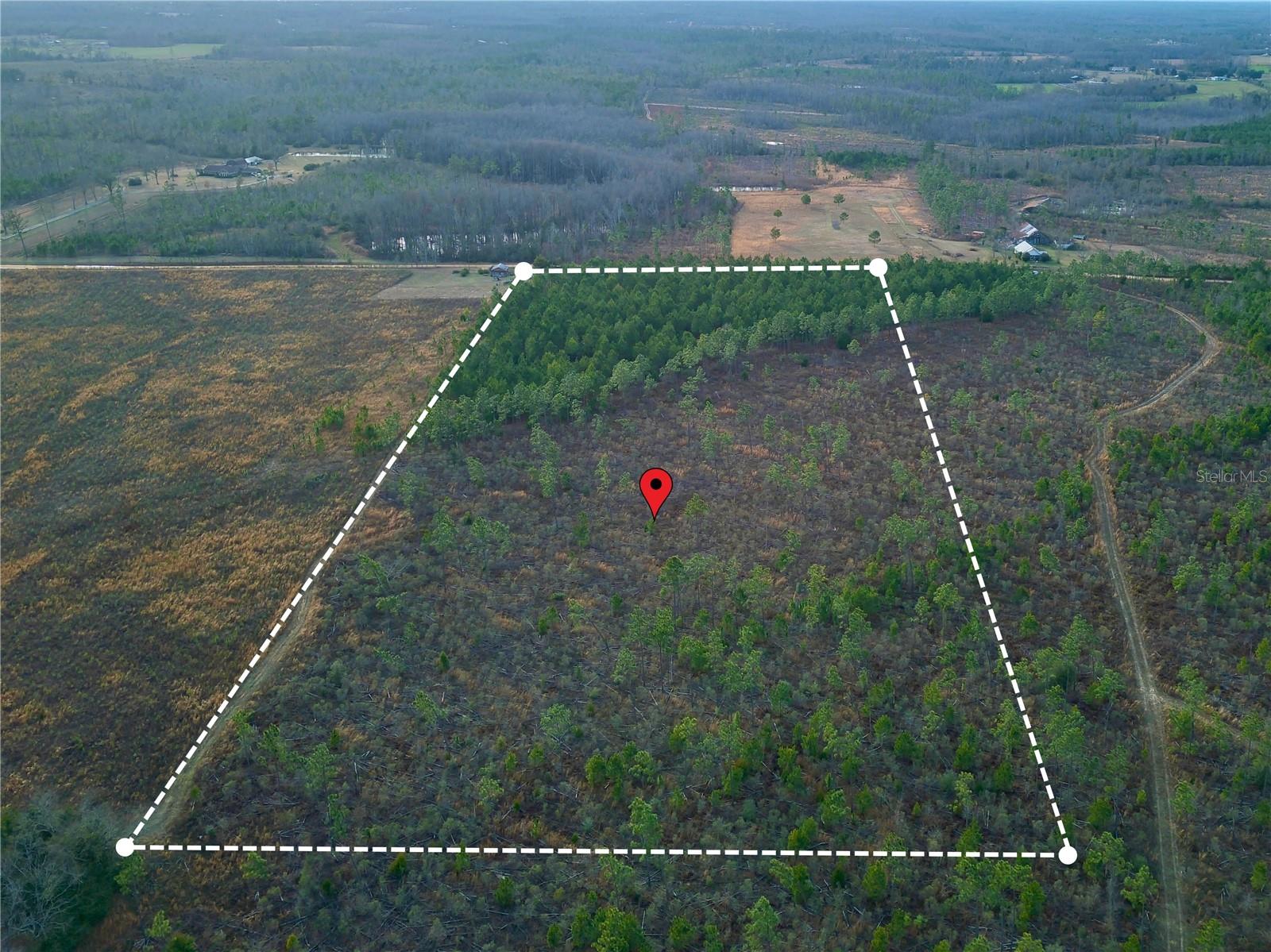 MUTUAL RD, COTTONDALE, FL, 32431