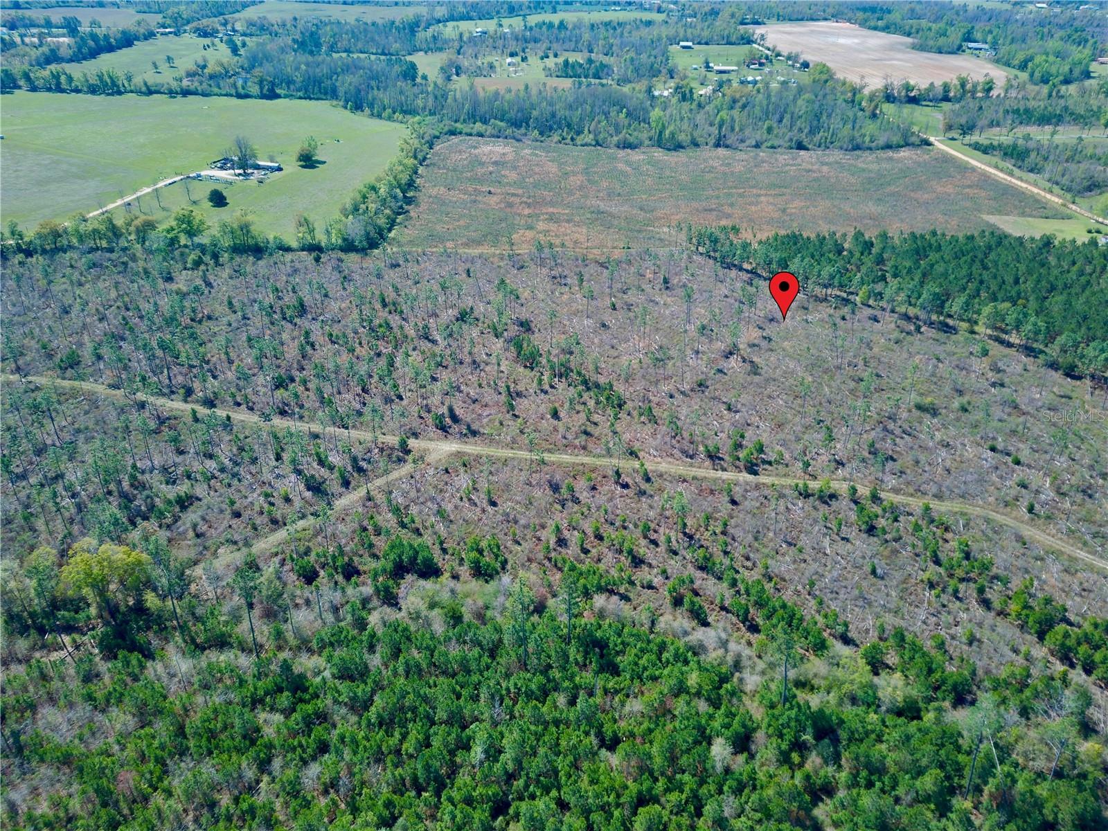 MUTUAL RD, COTTONDALE, FL, 32431