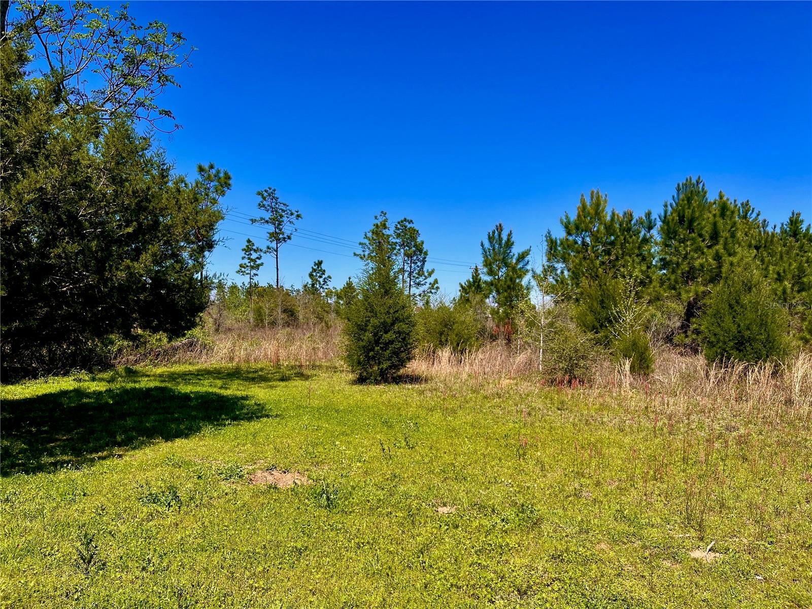 MUTUAL RD, COTTONDALE, FL, 32431