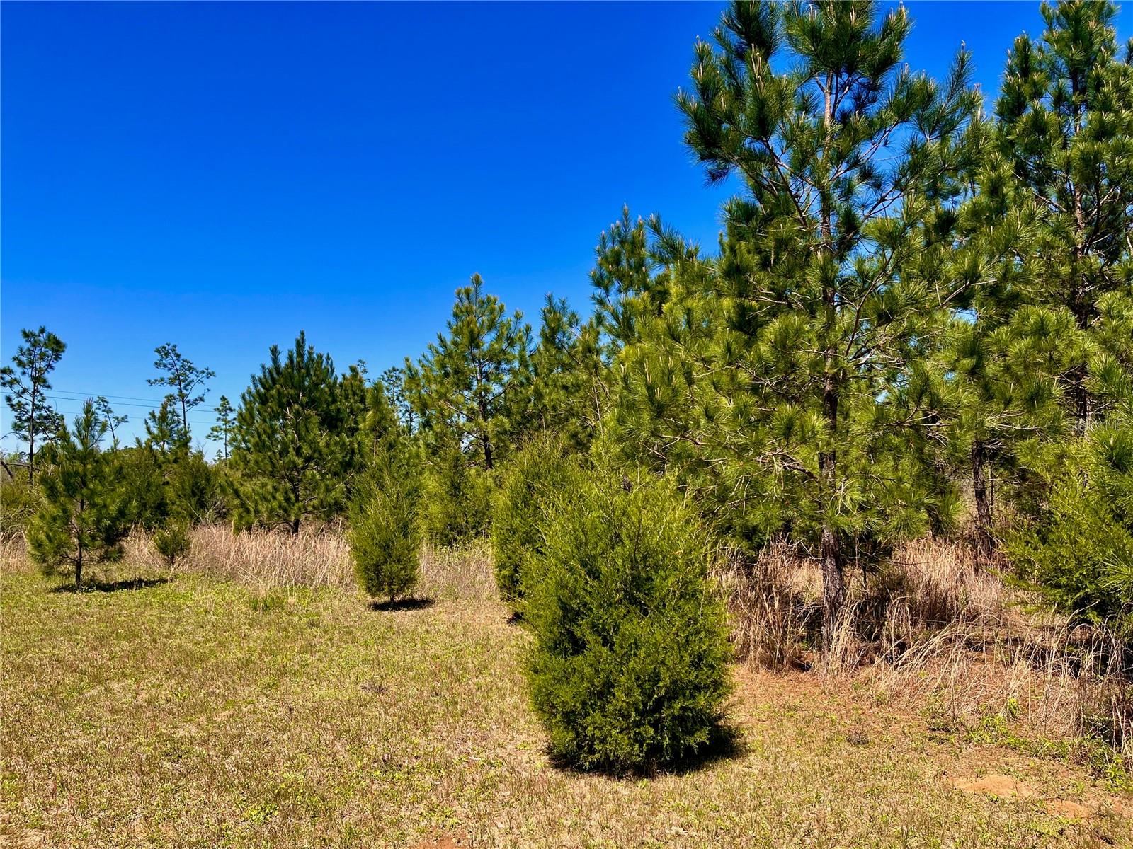 MUTUAL RD, COTTONDALE, FL, 32431
