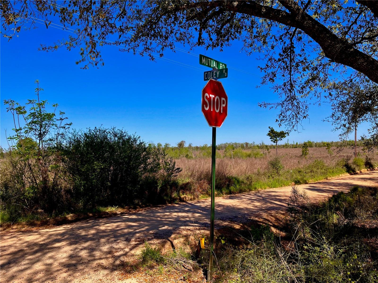 MUTUAL RD, COTTONDALE, FL, 32431