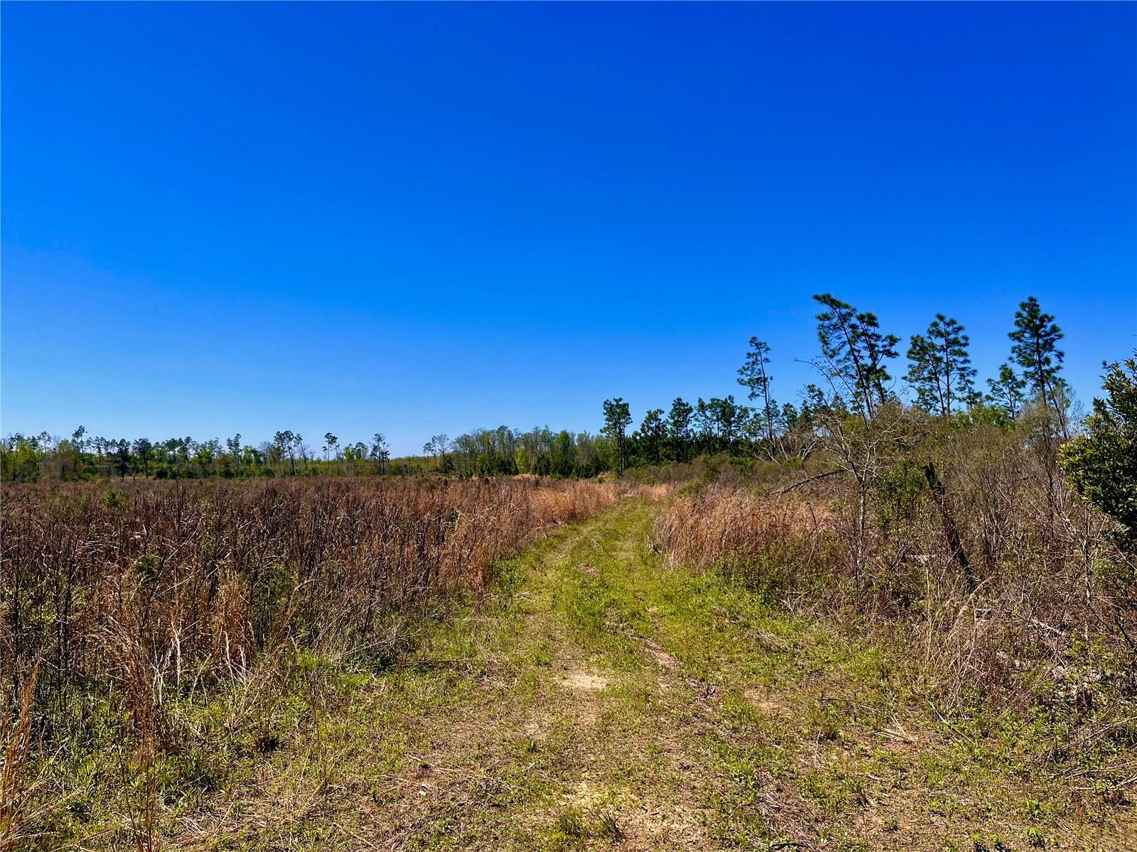 MUTUAL RD, COTTONDALE, FL, 32431