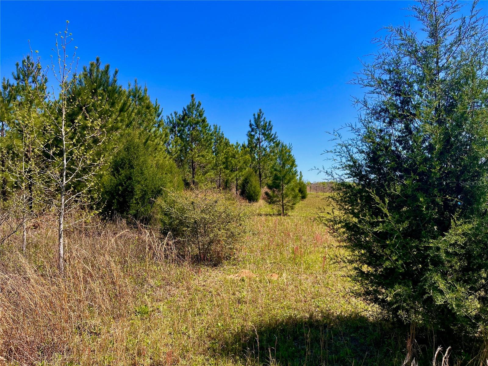 MUTUAL RD, COTTONDALE, FL, 32431