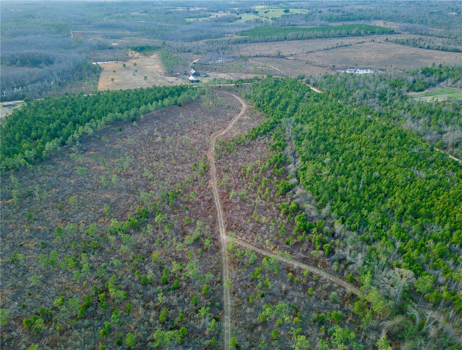 MUTUAL RD, COTTONDALE, FL, 32431