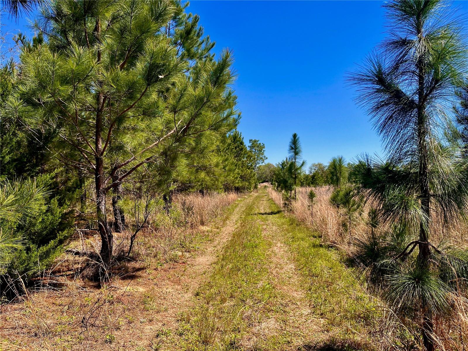 MUTUAL RD, COTTONDALE, FL, 32431