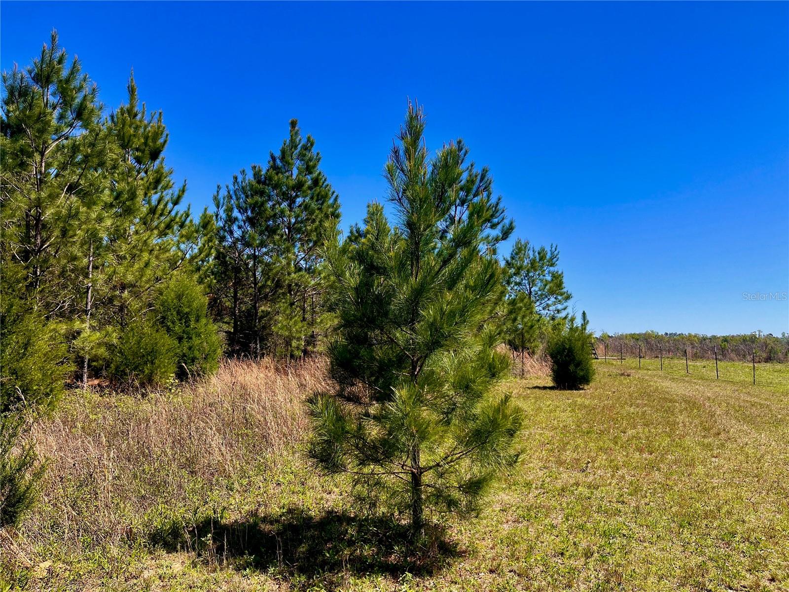 MUTUAL RD, COTTONDALE, FL, 32431