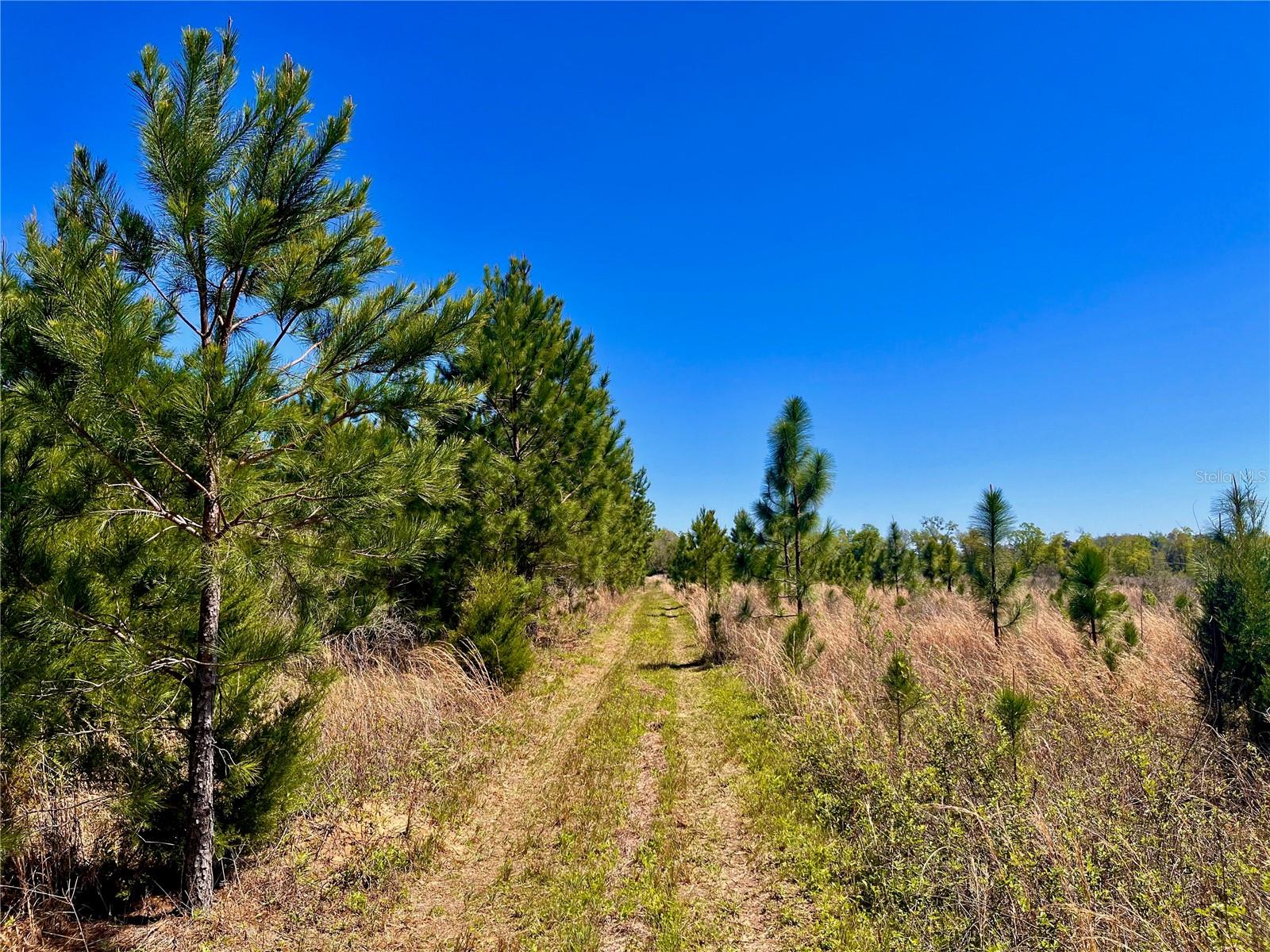 MUTUAL RD, COTTONDALE, FL, 32431