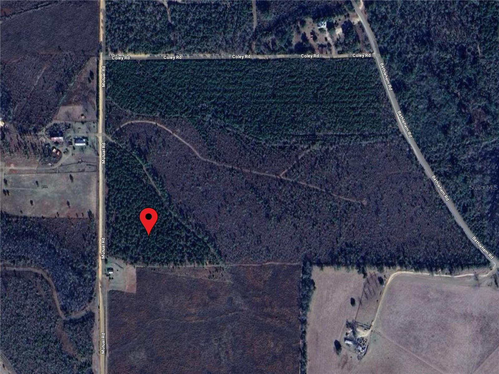 MUTUAL RD, COTTONDALE, FL, 32431