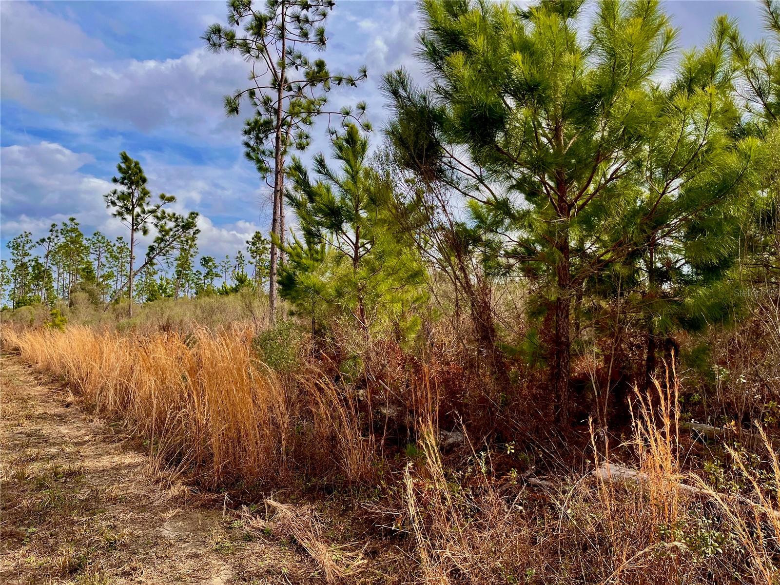 MUTUAL RD, COTTONDALE, FL, 32431