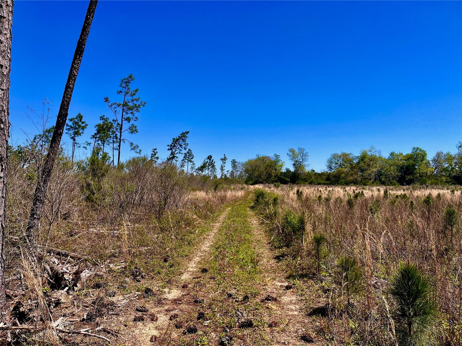 MUTUAL RD, COTTONDALE, FL, 32431