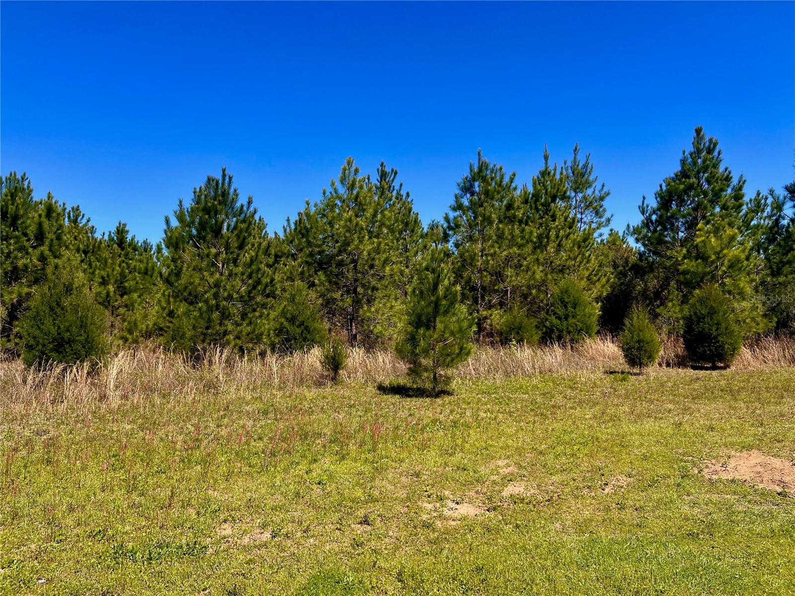 MUTUAL RD, COTTONDALE, FL, 32431