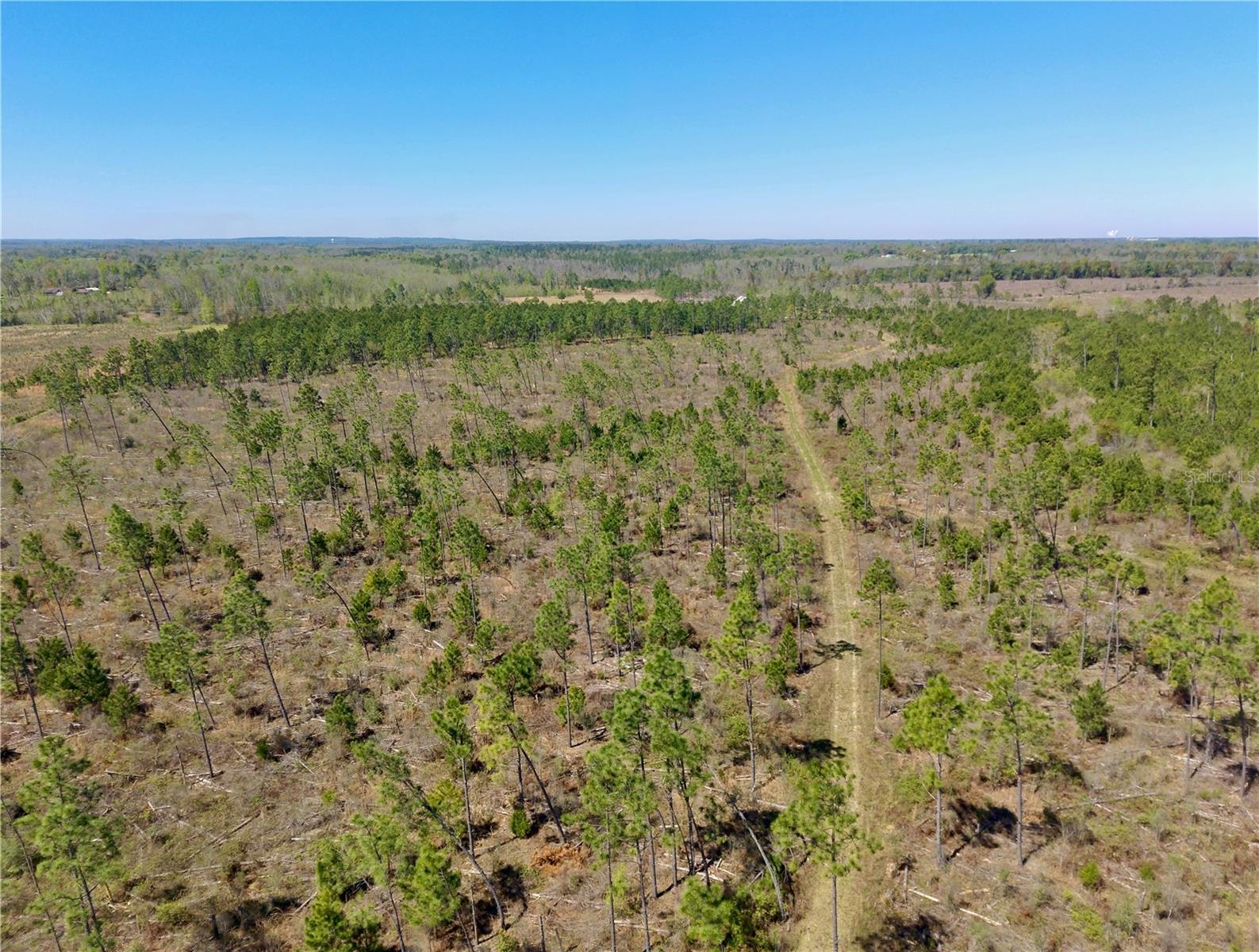 MUTUAL RD, COTTONDALE, FL, 32431