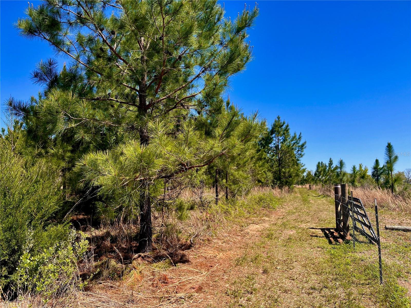 MUTUAL RD, COTTONDALE, FL, 32431