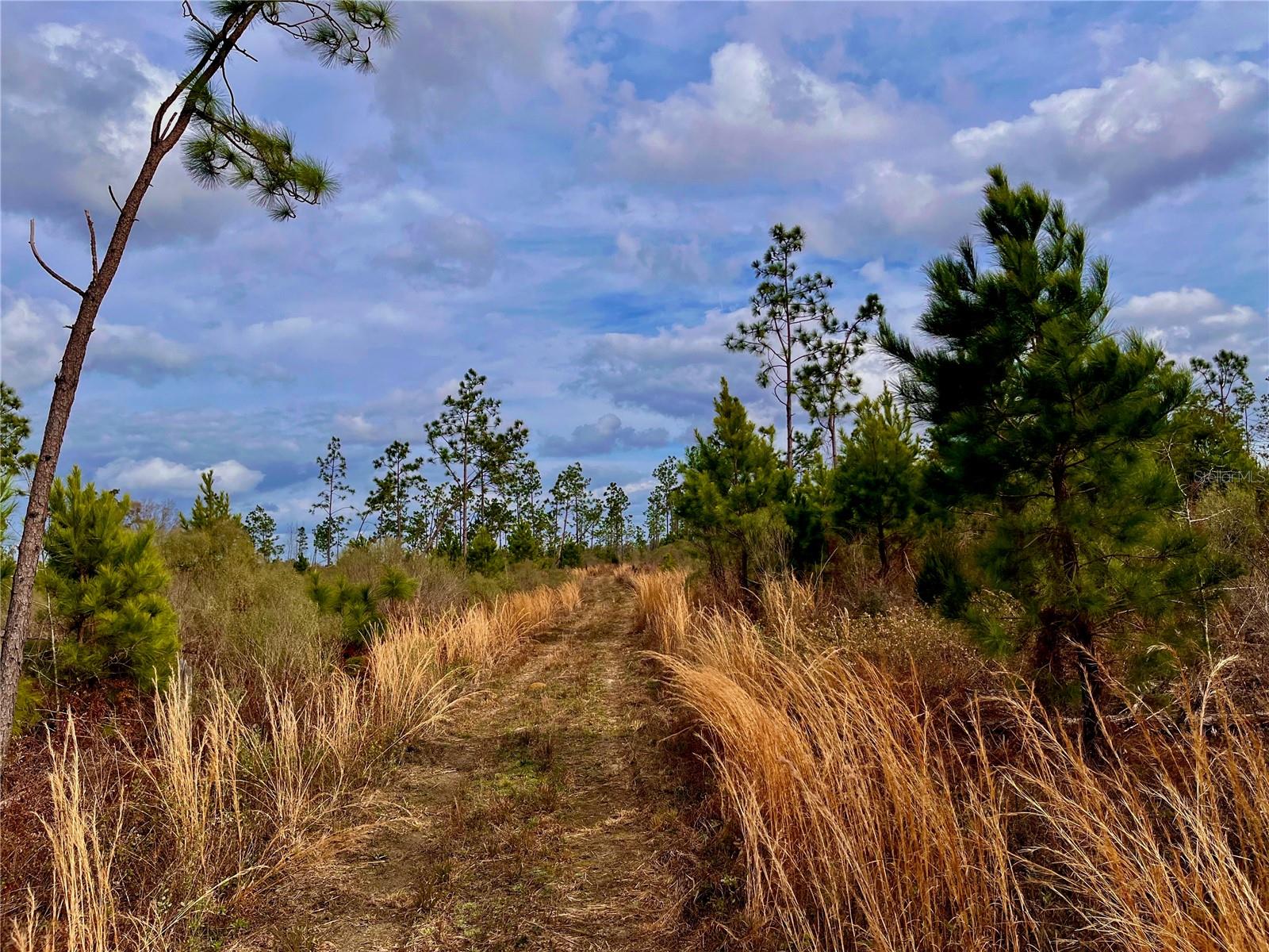 MUTUAL RD, COTTONDALE, FL, 32431