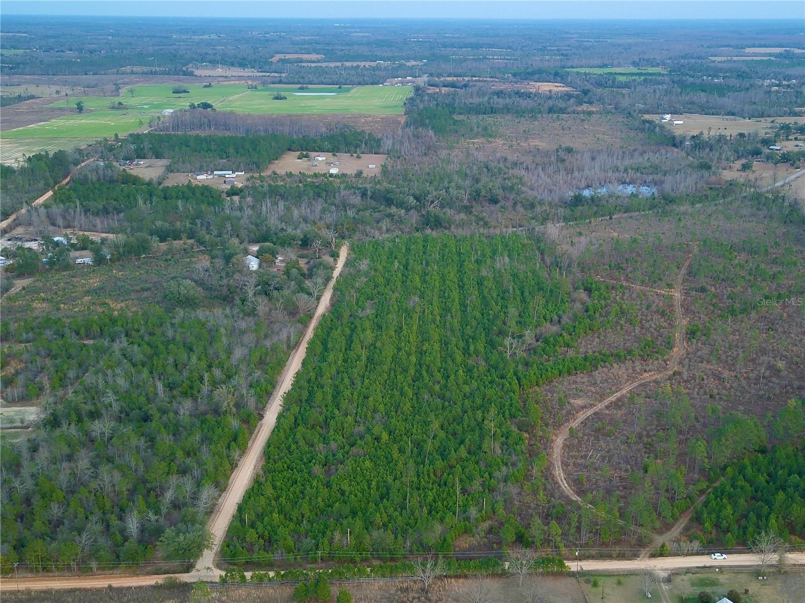 COLEY RD, COTTONDALE, FL, 32431