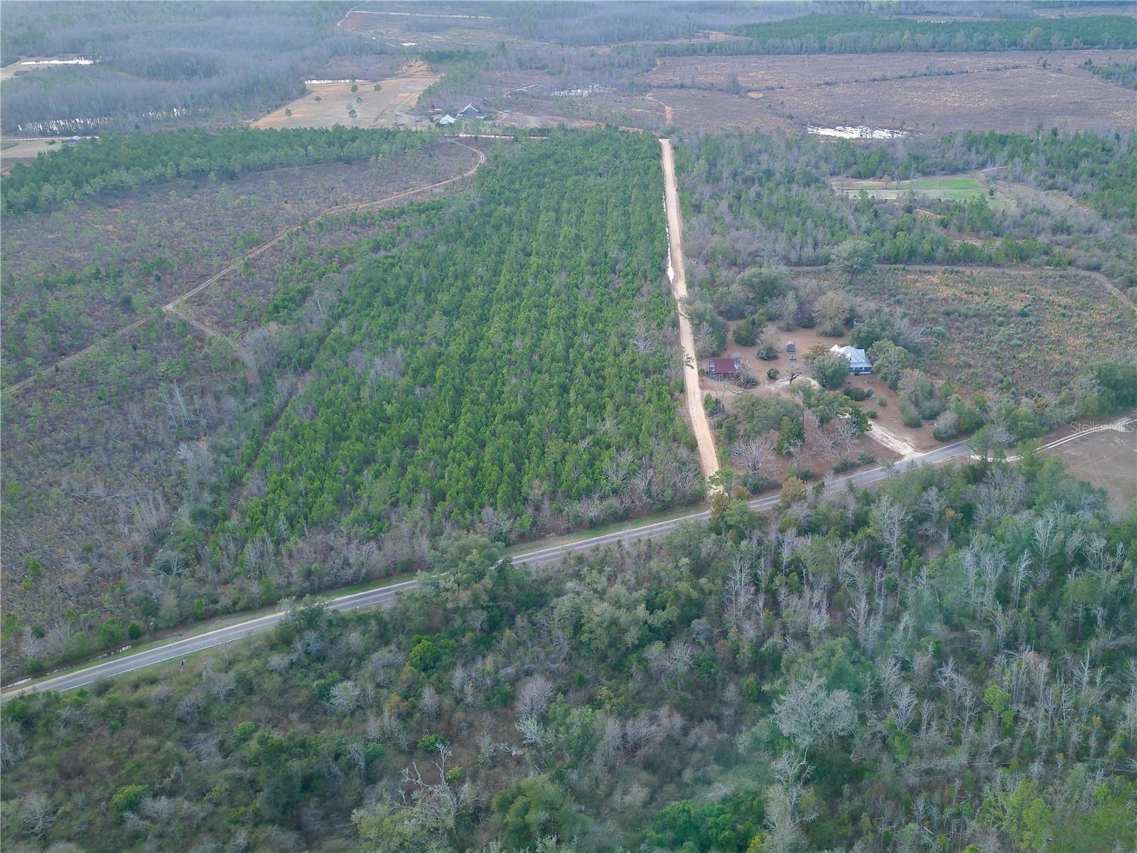 COLEY RD, COTTONDALE, FL, 32431
