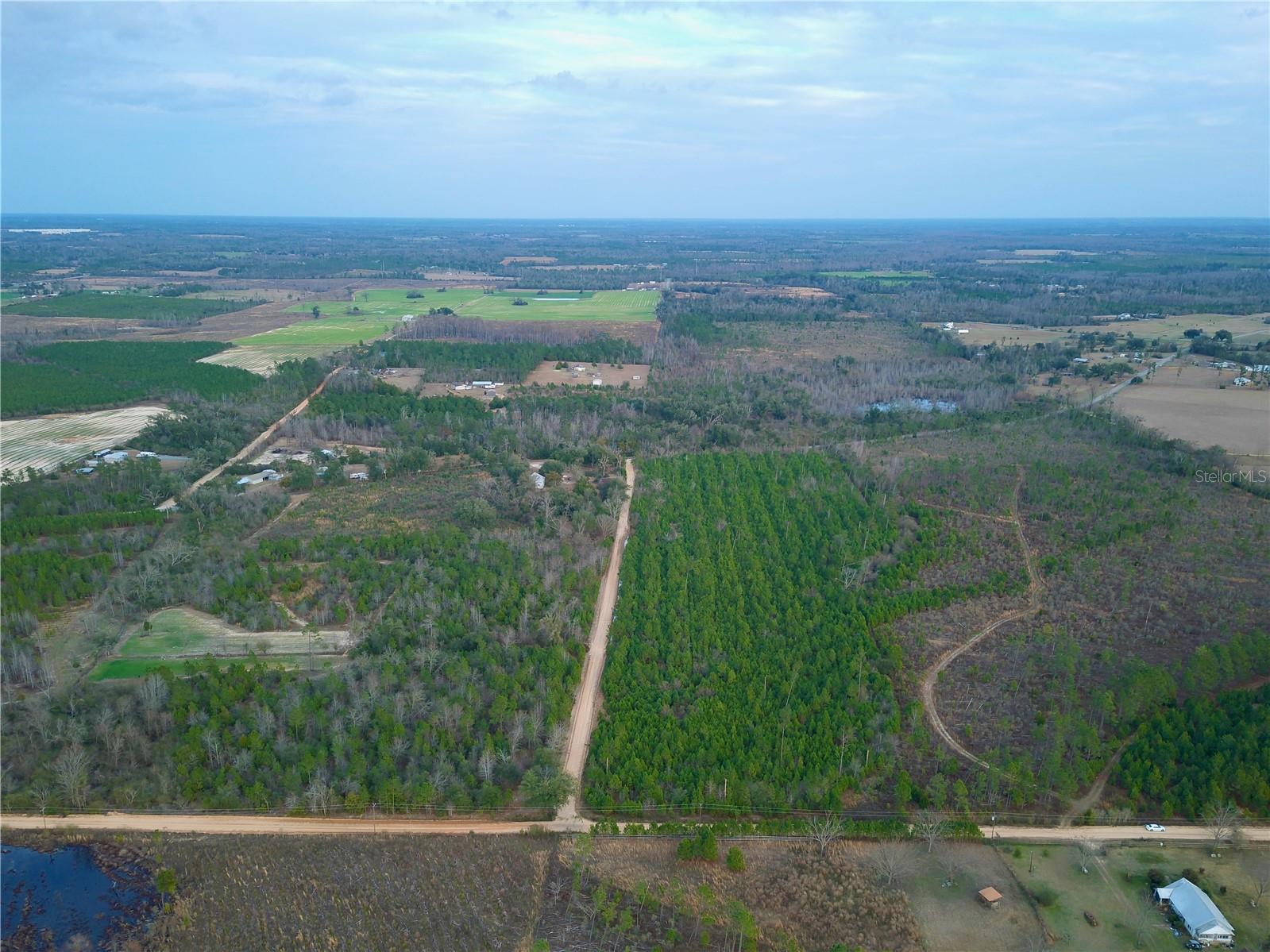 COLEY RD, COTTONDALE, FL, 32431