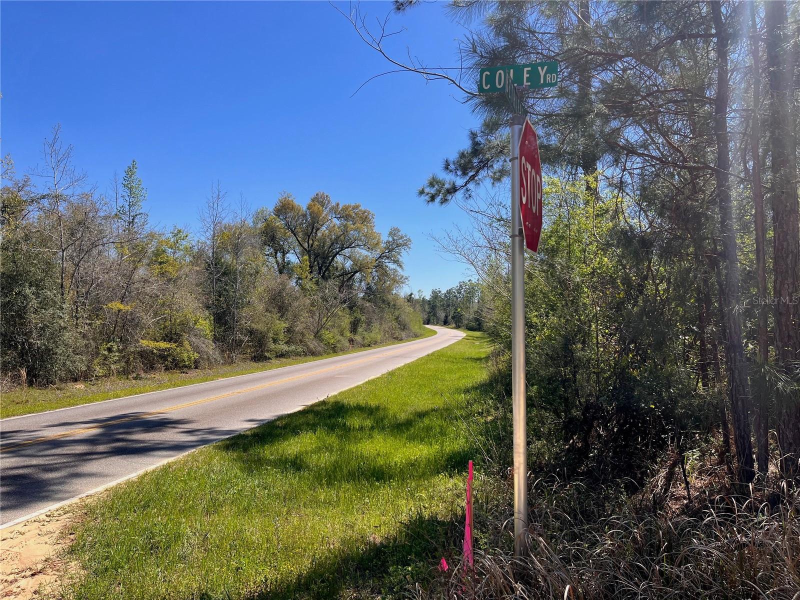 COLEY RD, COTTONDALE, FL, 32431