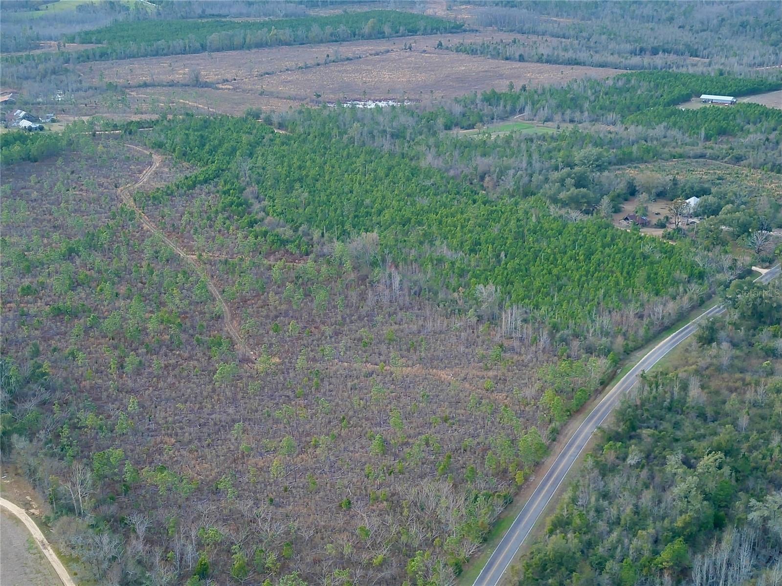 COLEY RD, COTTONDALE, FL, 32431