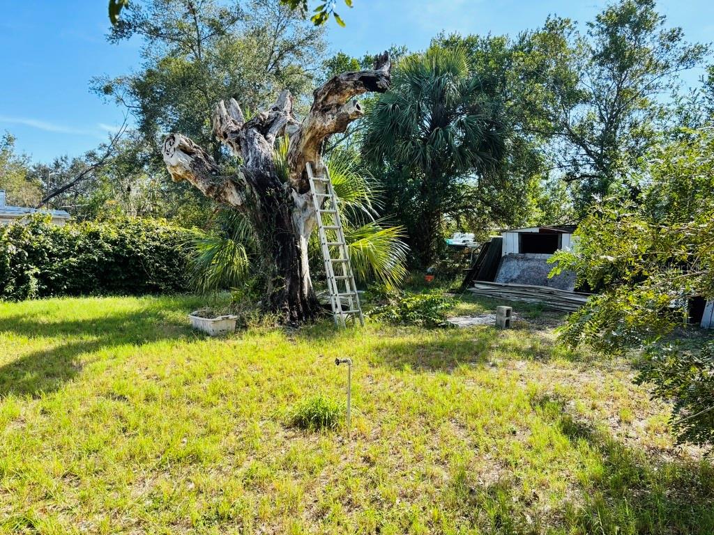 117 BRIGGS AVE, LAKE WALES, FL, 33853
