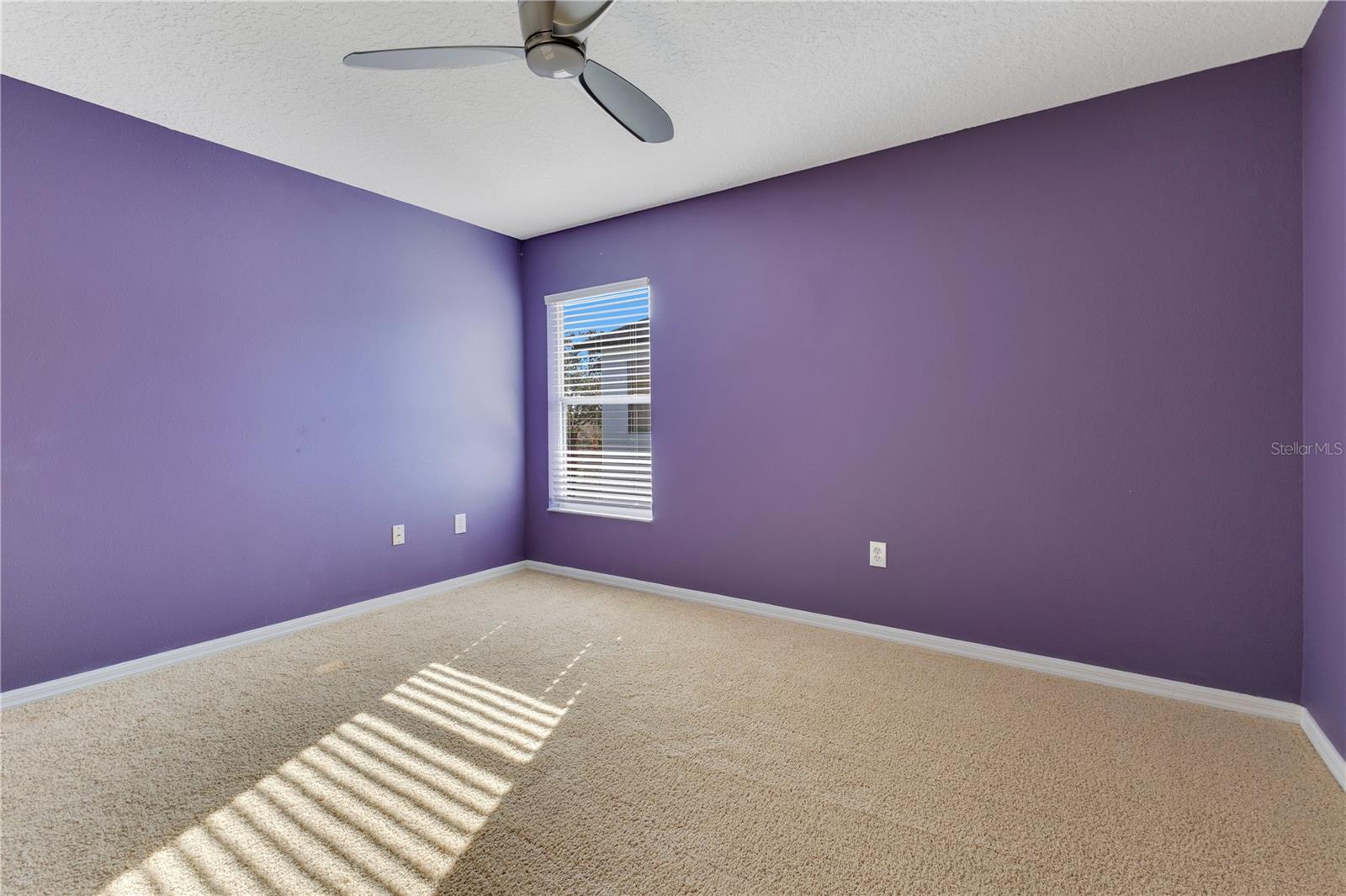 13655 PODOCARPUS LN, ORLANDO, FL, 32828