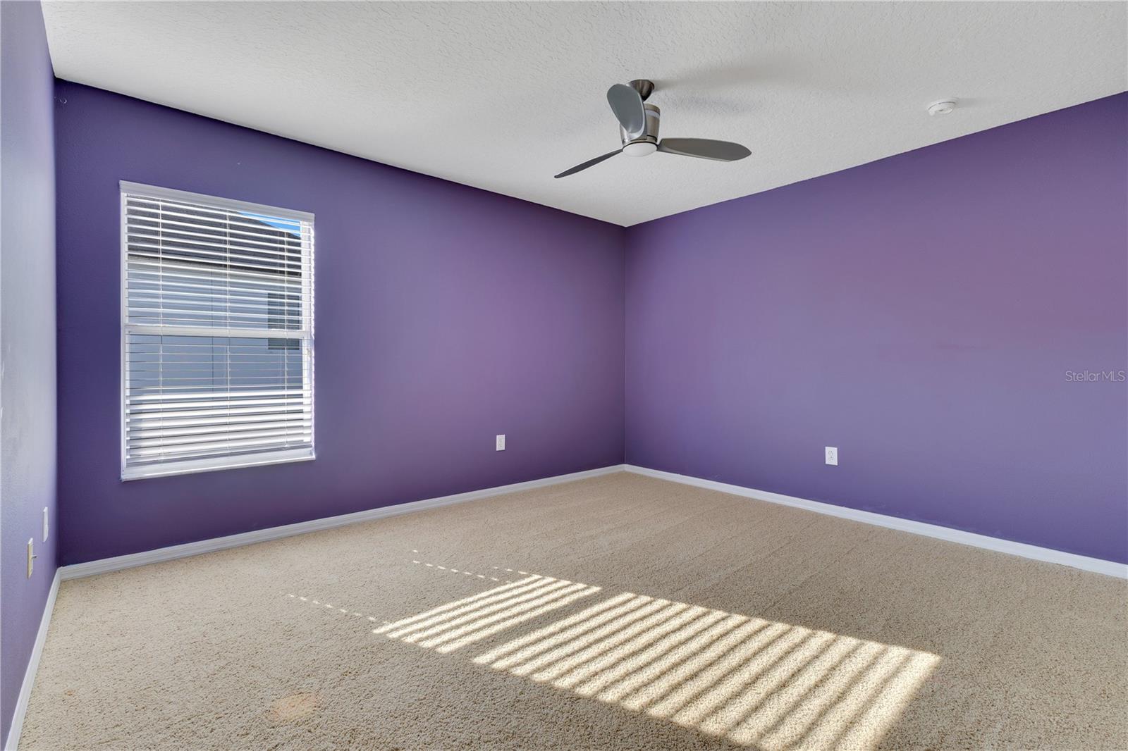 13655 PODOCARPUS LN, ORLANDO, FL, 32828