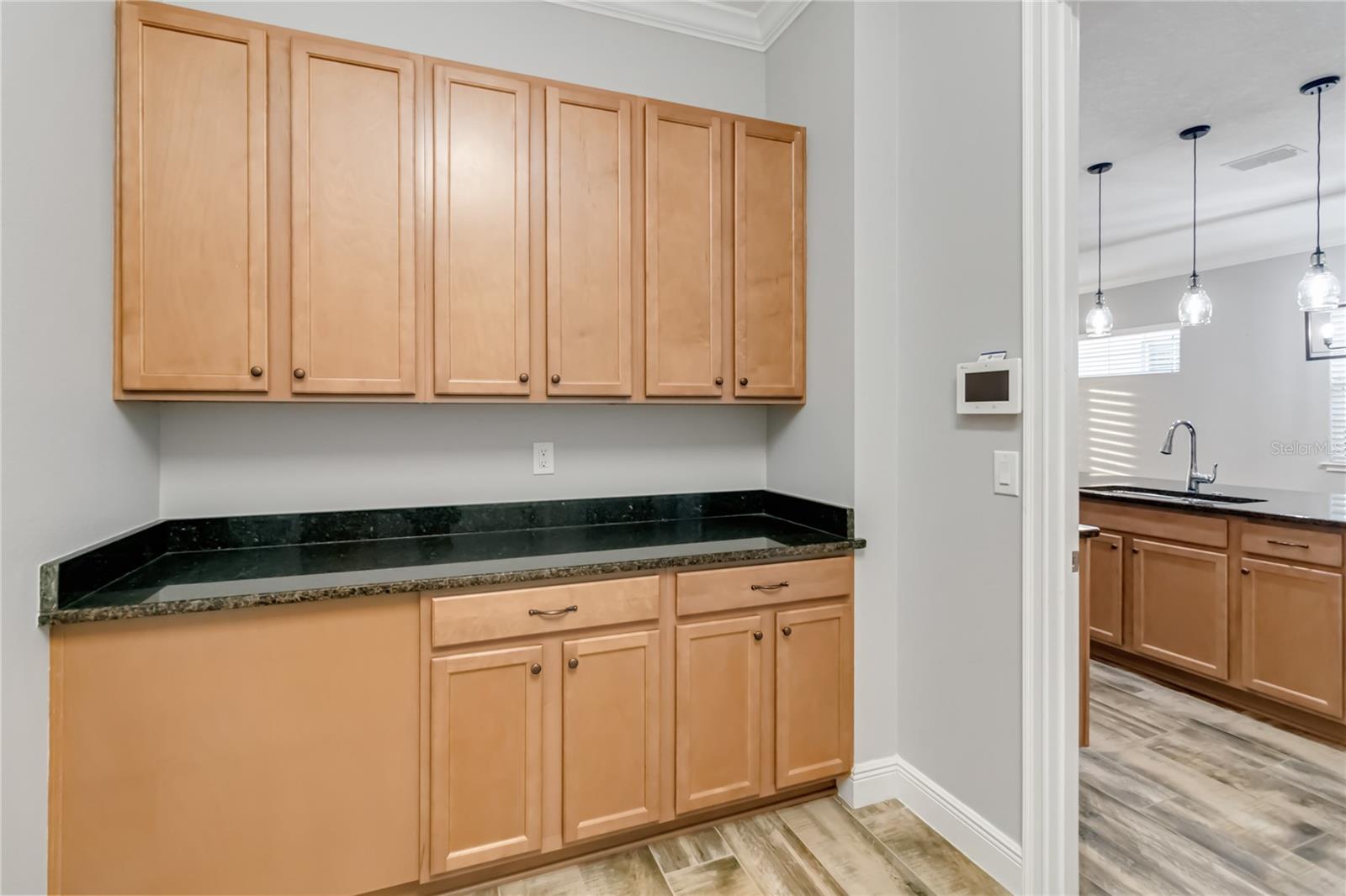 2482 YELLOW BRICK RD, ST CLOUD, FL, 34772