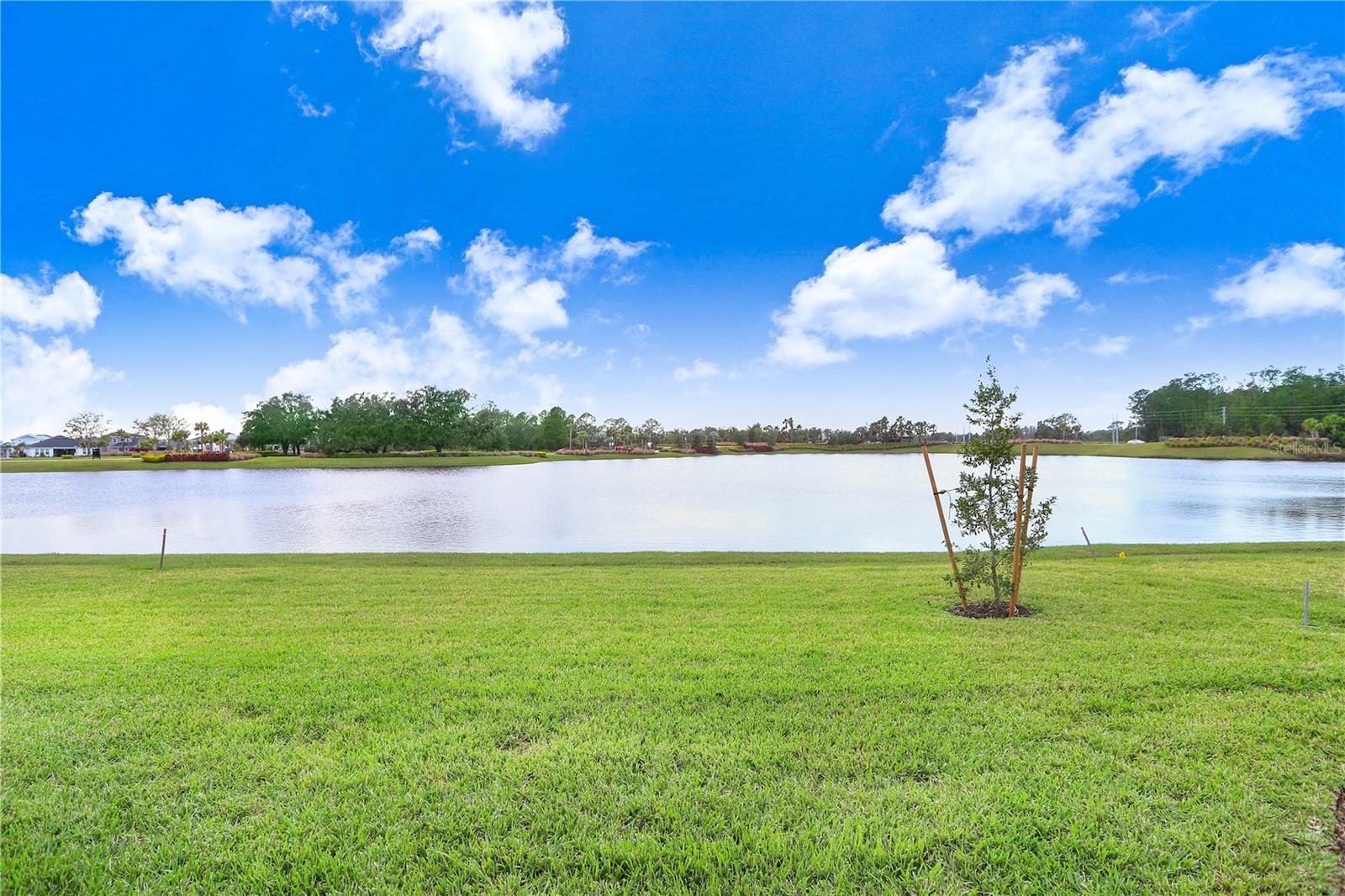 33443 LANDSMAN LOOP, WESLEY CHAPEL, FL, 33543