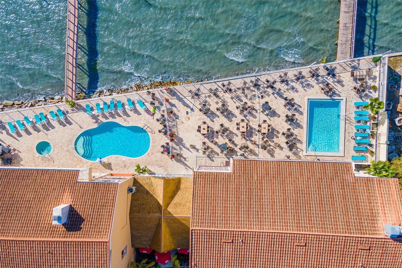 1420 BAYSHORE BLVD #404, DUNEDIN, FL, 34698