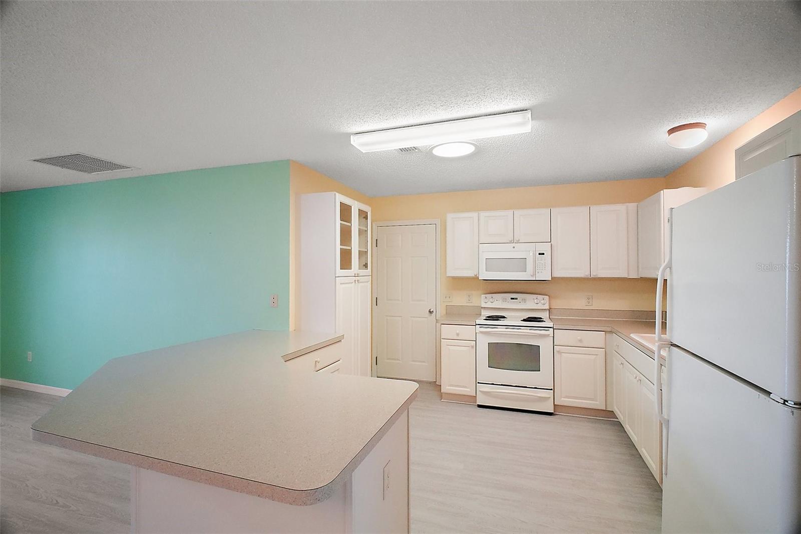 2514 RAINTREE DR, THE VILLAGES, FL, 32162