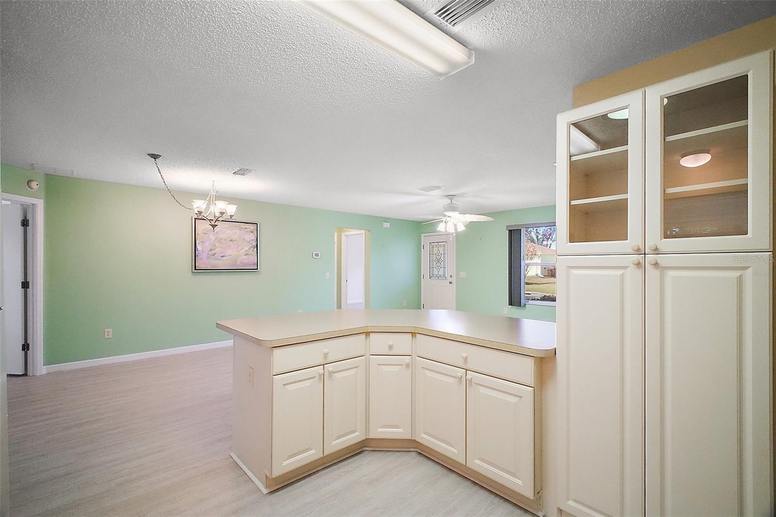 2514 RAINTREE DR, THE VILLAGES, FL, 32162