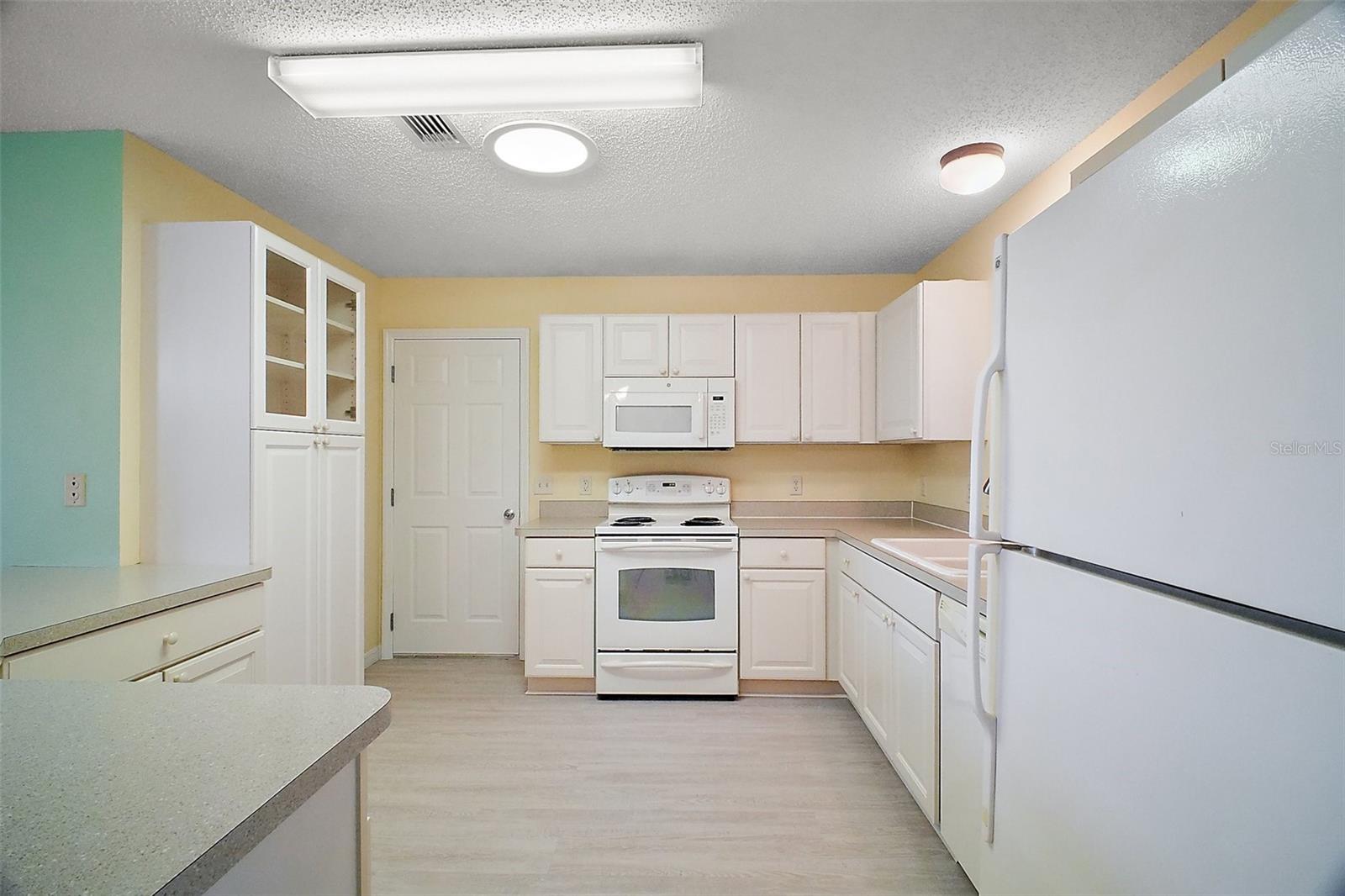 2514 RAINTREE DR, THE VILLAGES, FL, 32162