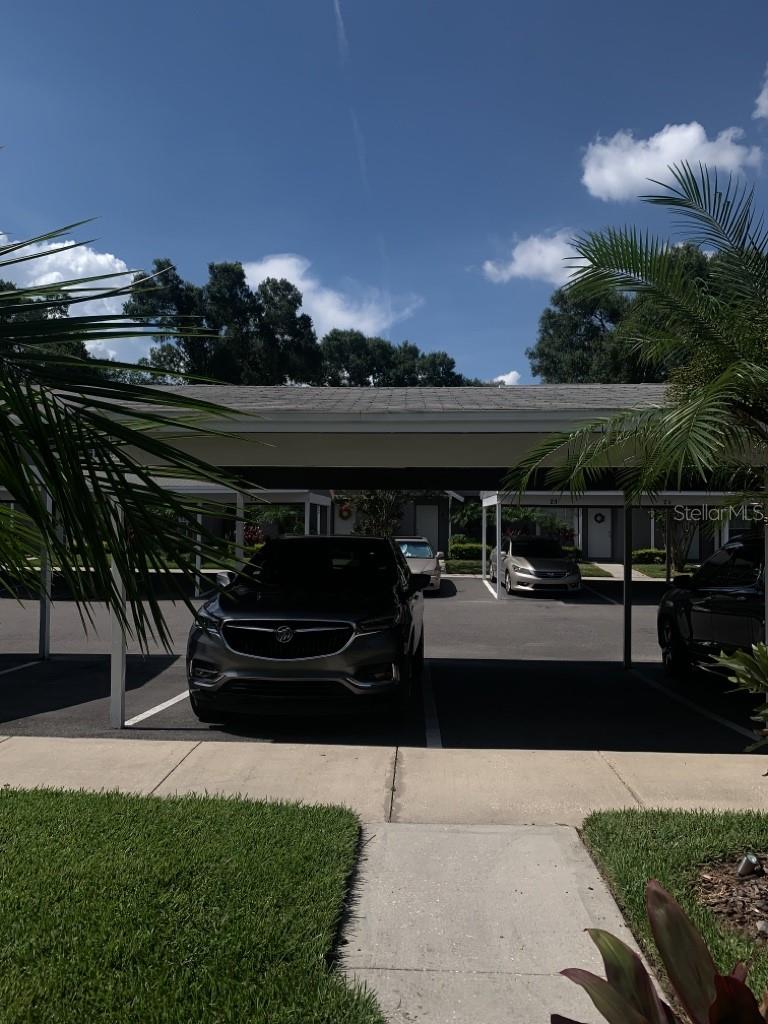 3416 ARBOR OAKS CT, TAMPA, FL, 33614