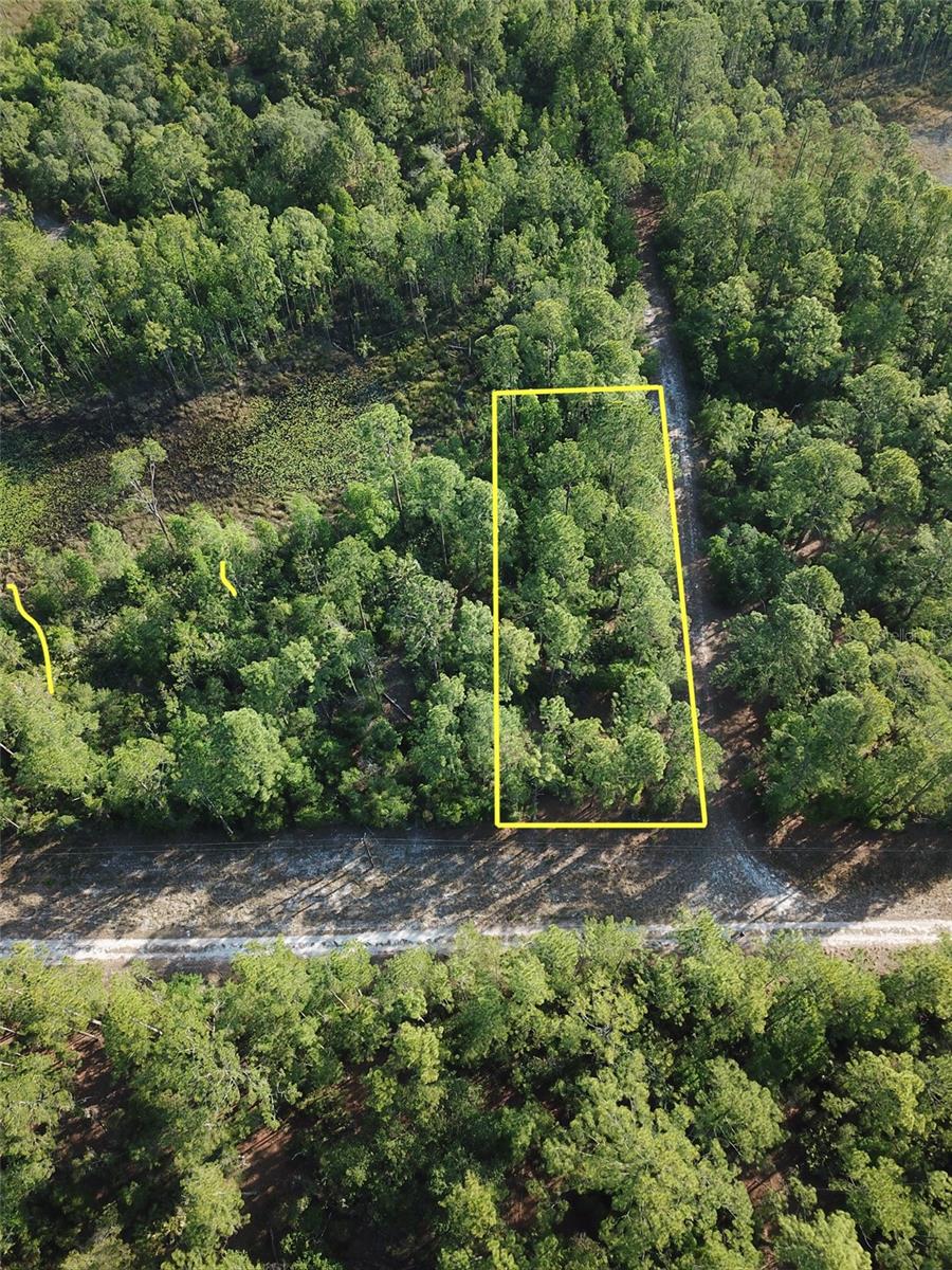 00 ARDEN ST, GEORGETOWN, FL, 32139
