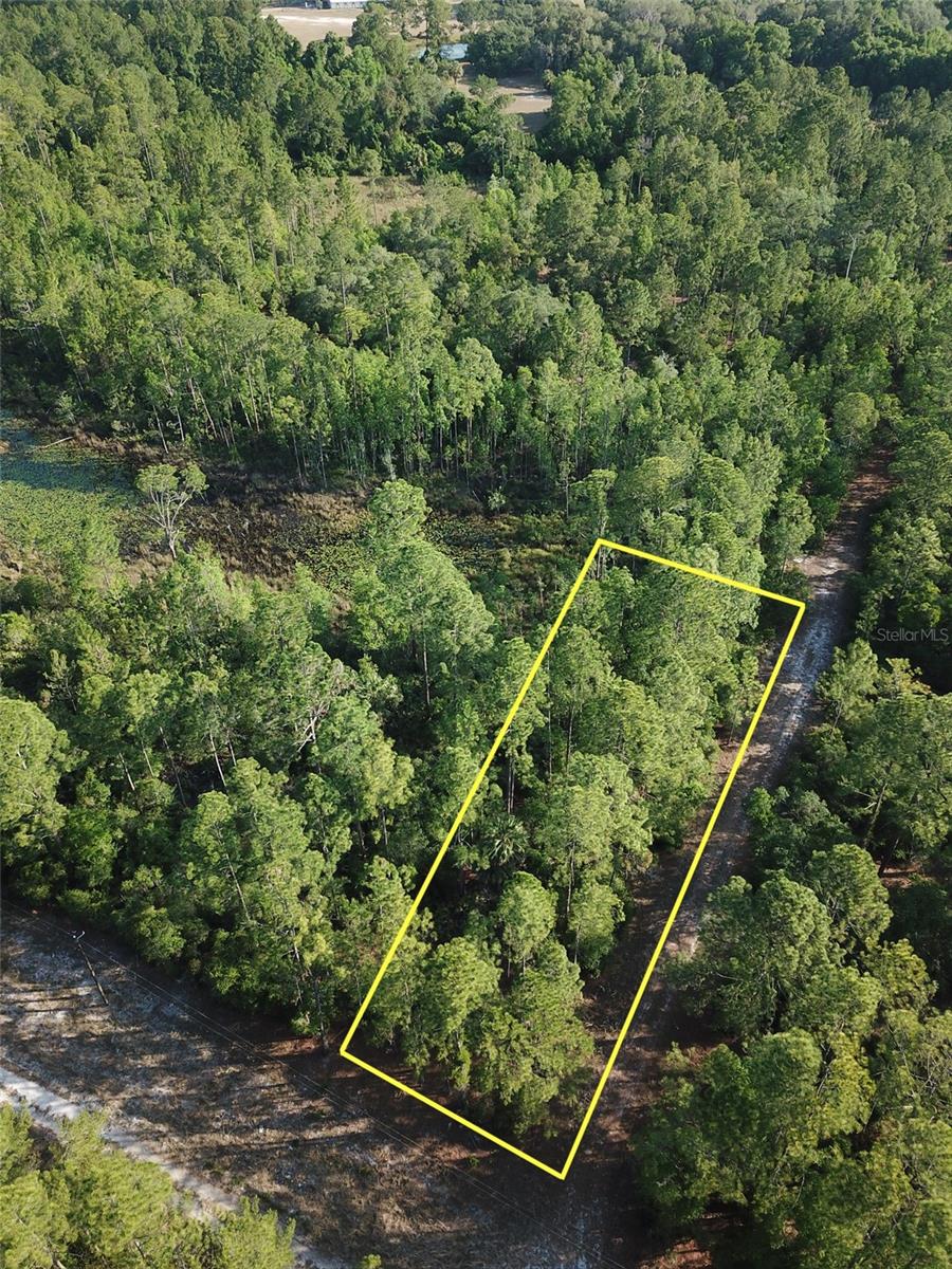 00 ARDEN ST, GEORGETOWN, FL, 32139