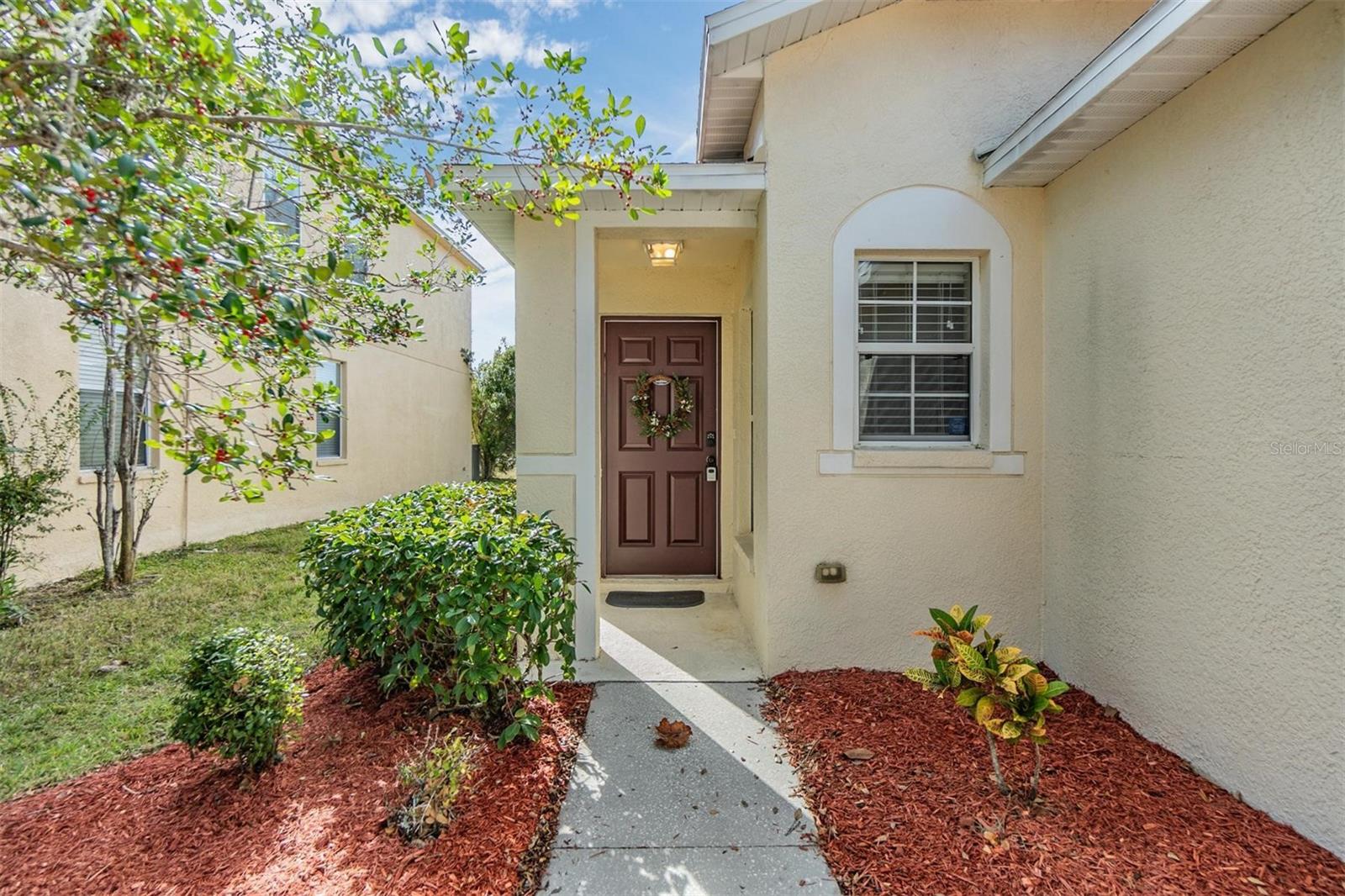 19804 TIMBERBLUFF DR, LAND O LAKES, FL, 34638