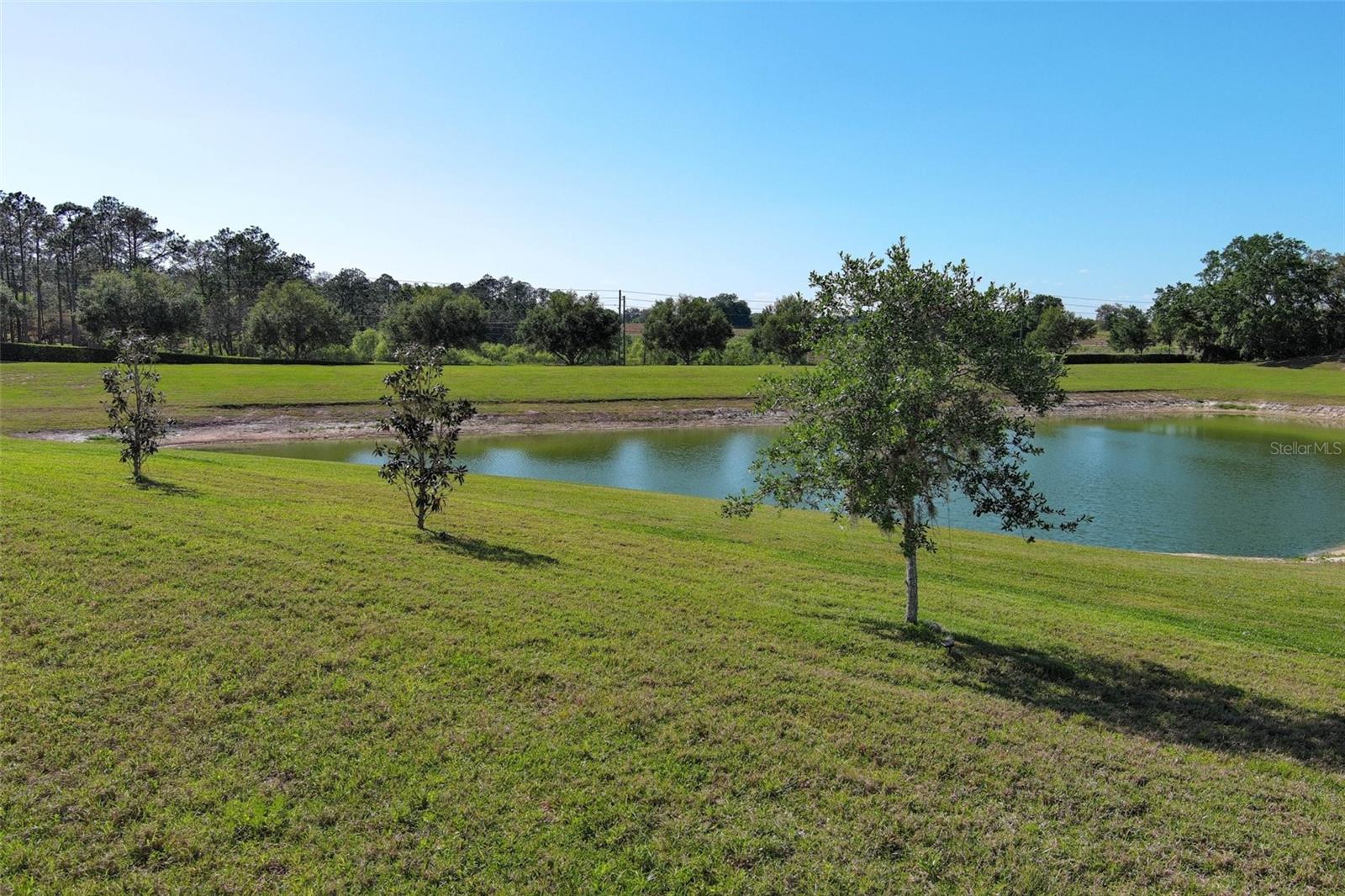 15121 EVERGREEN OAK LOOP, WINTER GARDEN, FL, 34787