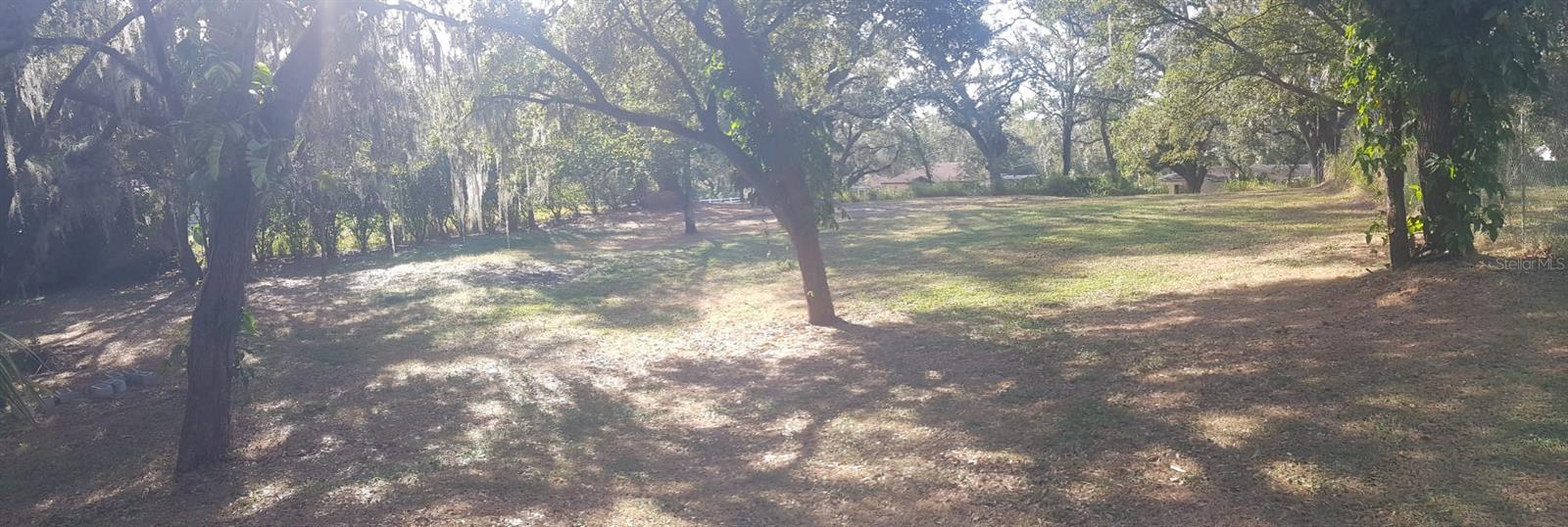 1511 HILLSIDE DR, MULBERRY, FL, 33860